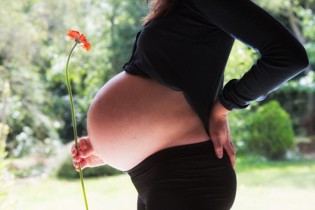 Mujer en estado de embarazo, gestacion subrogada